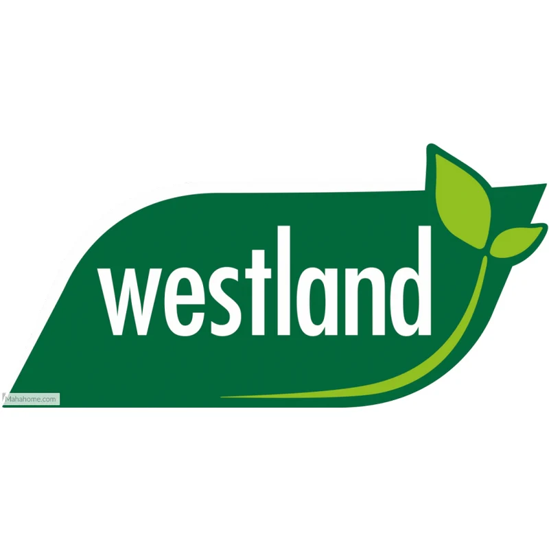 Westland Cacti And Succulent Potting Compost Mix 4 Litre - Image 4